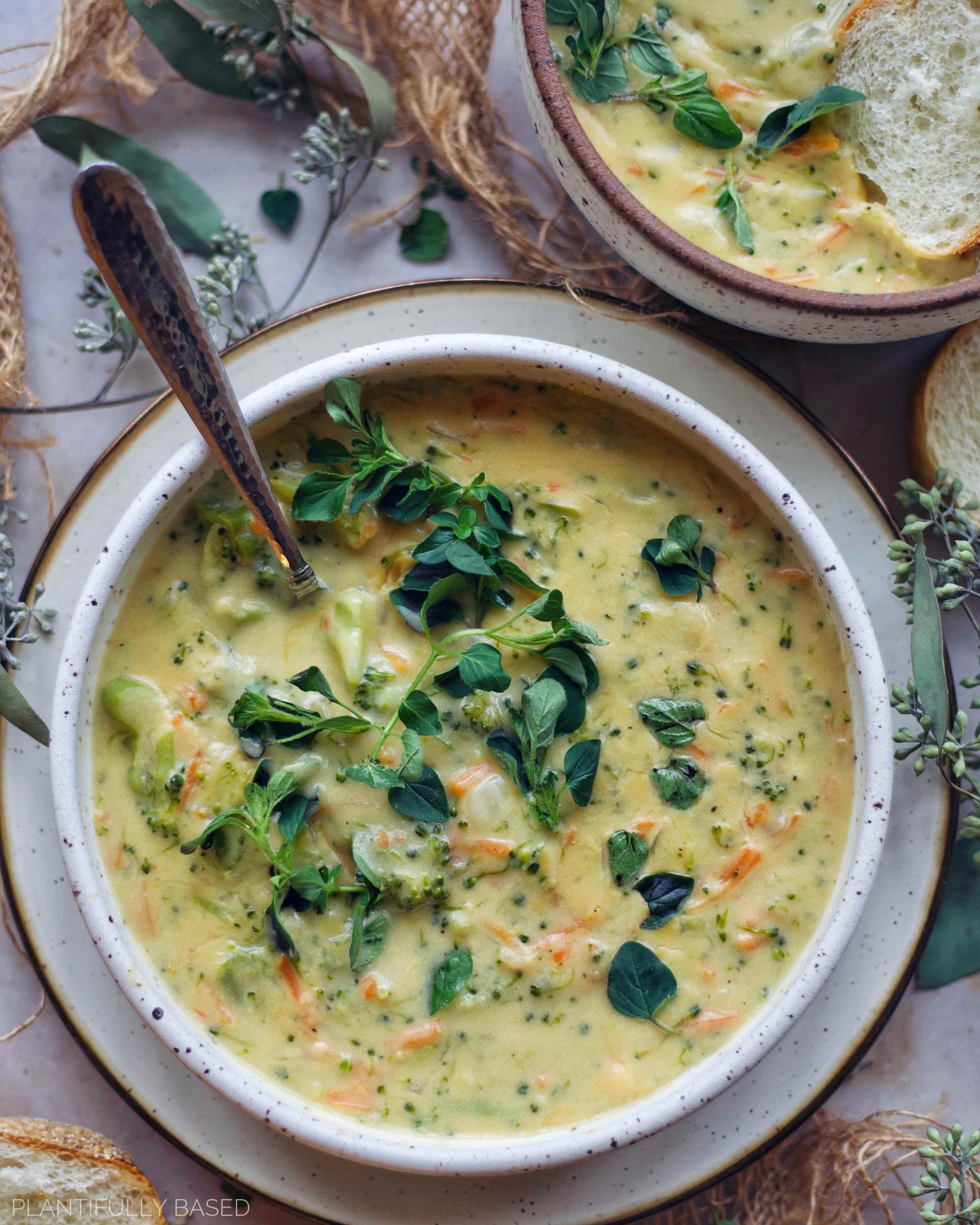 Panera's Broccoli Cheddar Soup {+VIDEO} - The Girl Who Ate Everything