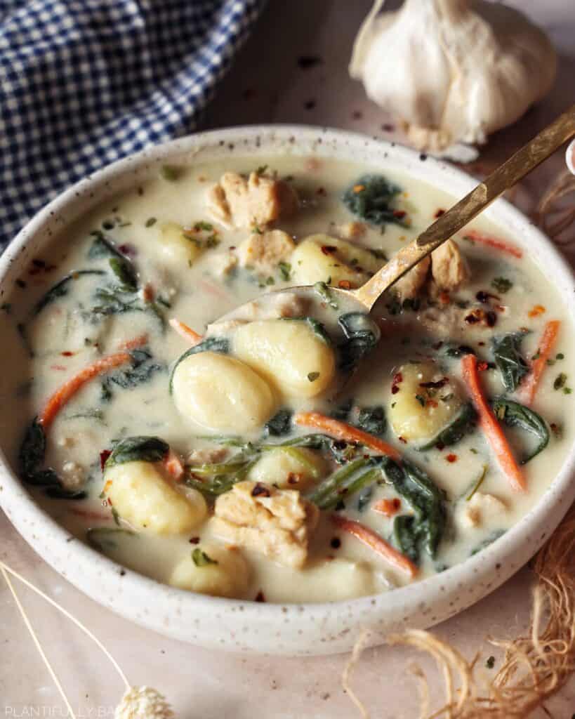 image of vegan chick'n gnocchi soup
