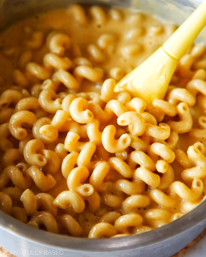 image of cooked pasta in cheese sauce