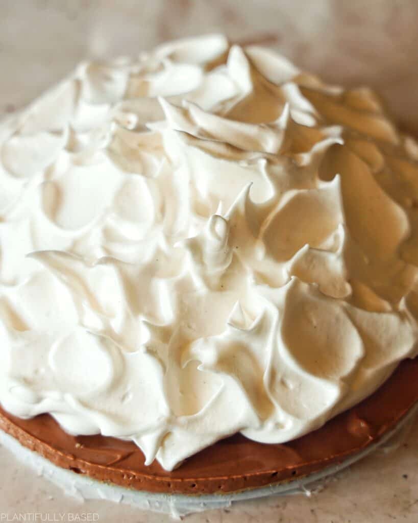 No Bake Vegan Rocky Road Cake