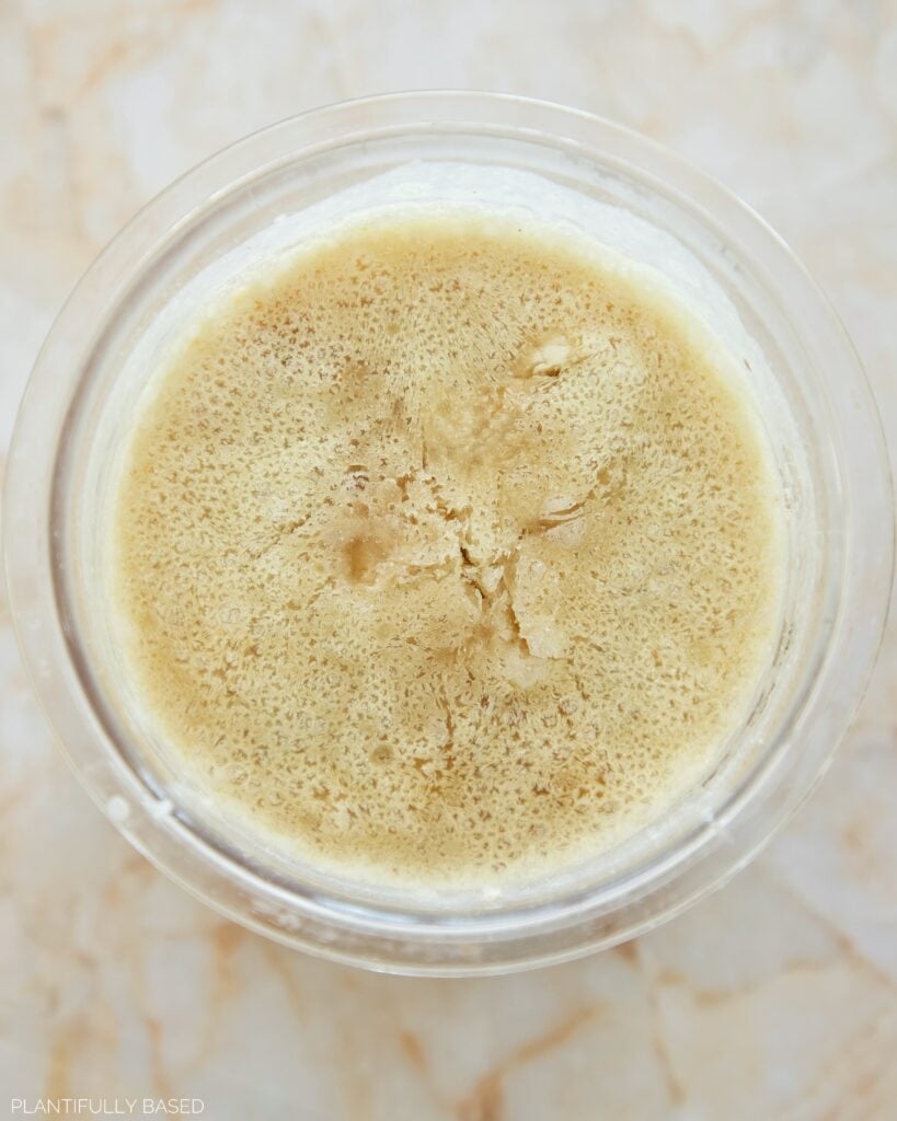 High Protein Vegan Vanilla Ninja Creami