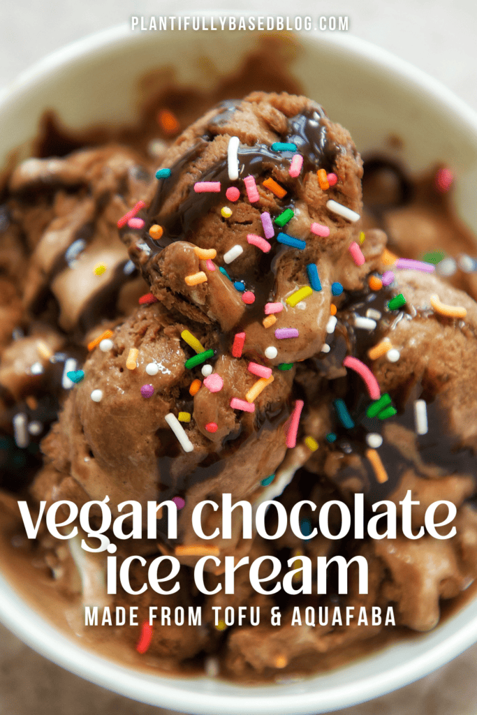 vegan chocolate ice cream