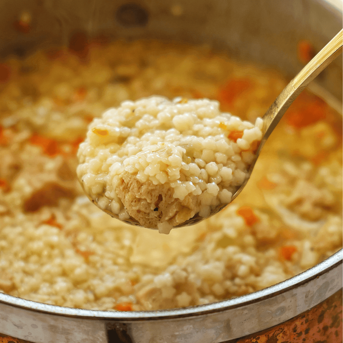 Vegan Chicken Soup